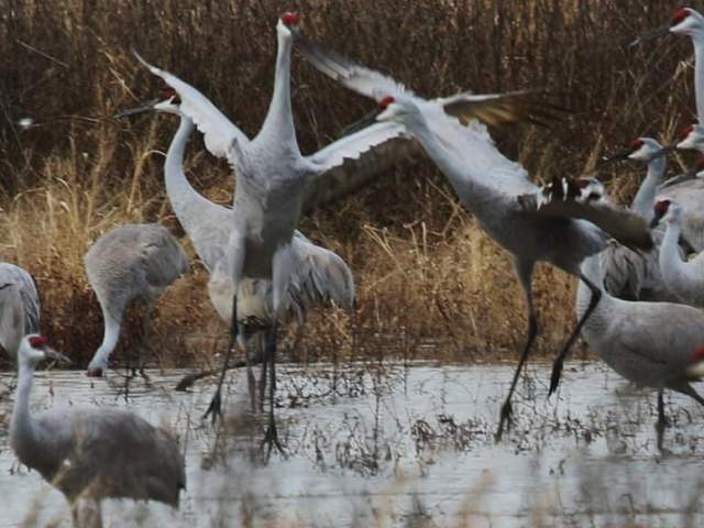 The Wheeler National Wild Refuge.