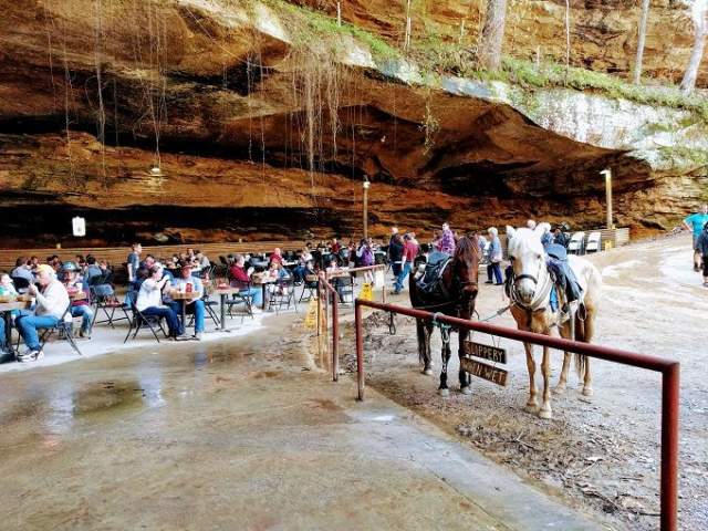 Rattlesnake Saloon with horses