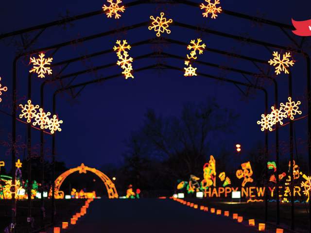 Holiday Zoom - Galaxy of Lights arch