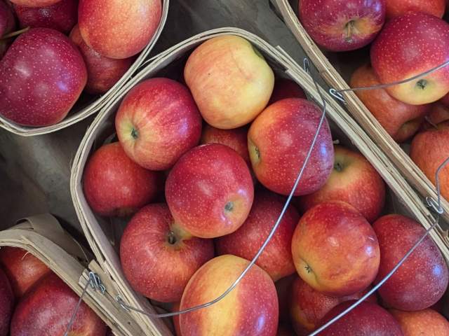 Huntsville Fall Foodie Trail