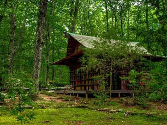 Where to Celebrate Asian Culture and Cuisine in Huntsville