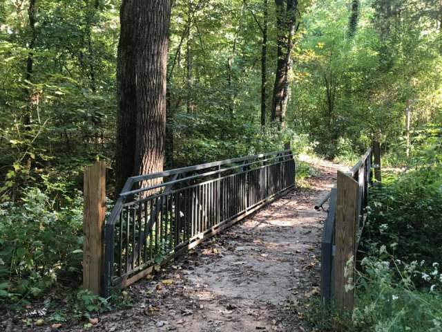 Wheelchair-Friendly Hikes in Huntsville: Chapman Mountain