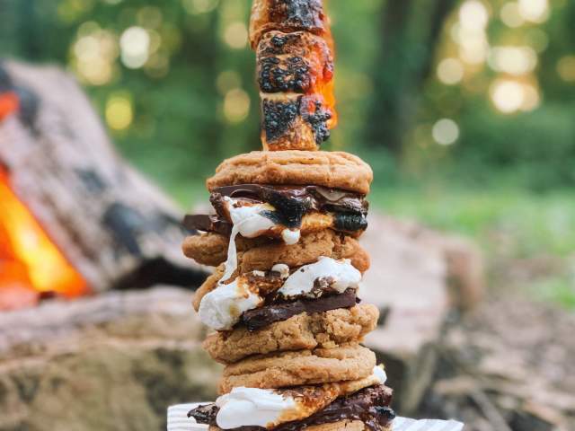 Huntsville's Best Vegan Camping Food