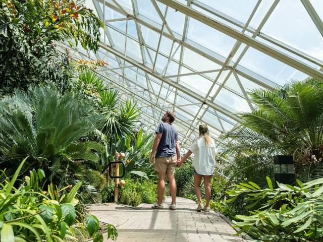 Foellinger-Freimann Botanical Conservatory