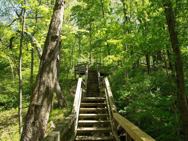 Mounds State Park, Anderson