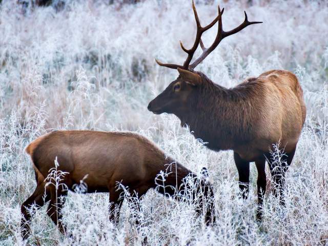 michael_drake_photography-Instagram-1563-ig-17878924667519139