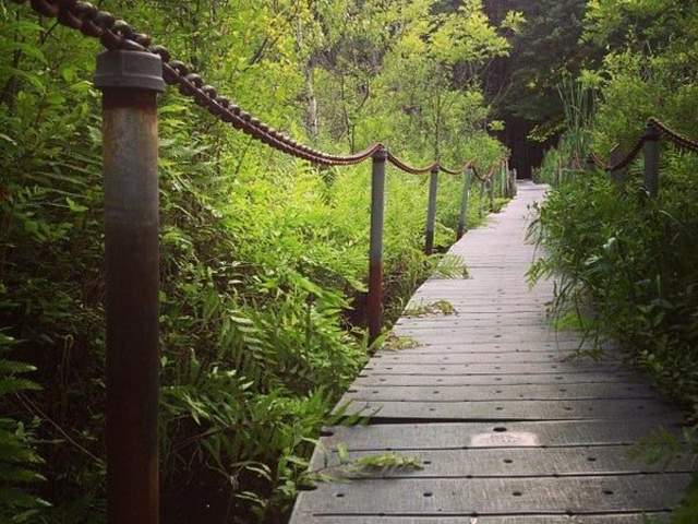 West Lake Nature Preserve