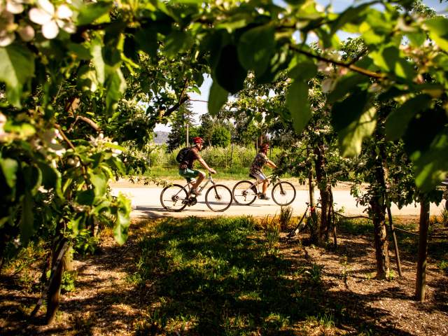Biking in Southeast Kelowna (3)