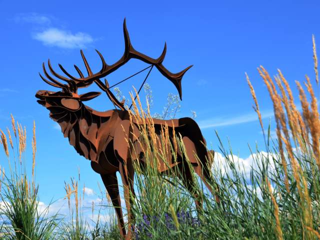 Indigenous Sculpture Elk