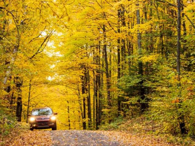 Car on road in fall.