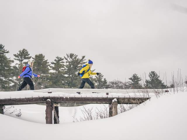 Snowshoers cross wooden bridge.