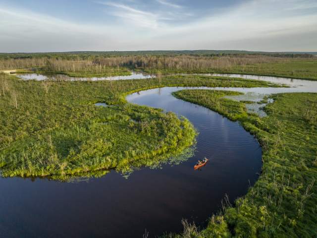 a canoe paddles on a winding river cutting through lush wetlands