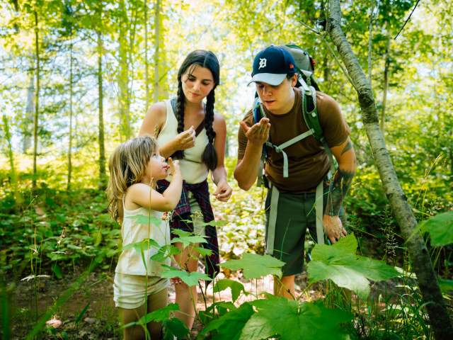 Family of three stops to eat wild Thimbleberries while hiking.