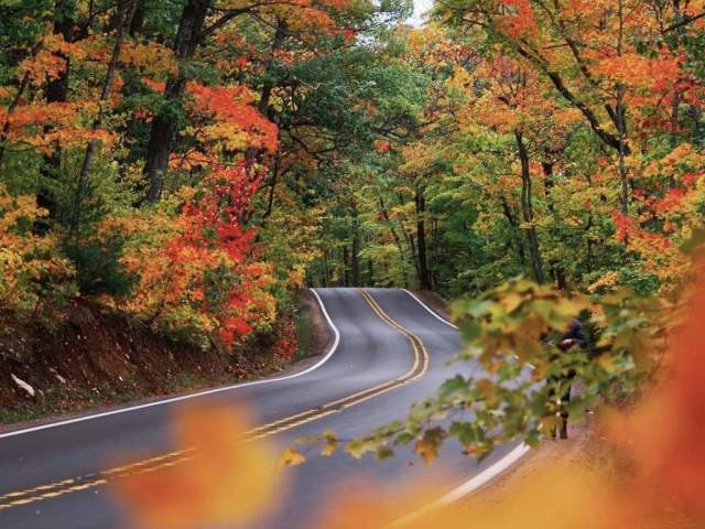 Tunnel of trees along US 41 near Copper Harbor