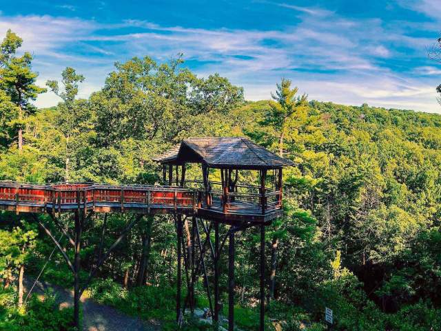 Nay Aug Park Treehouse