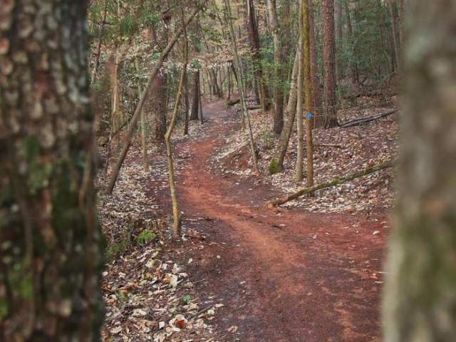 Lake Norman State Park