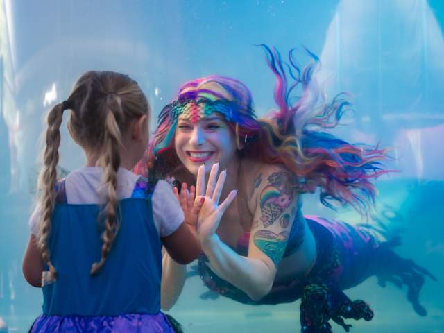 Carolina Renaissance Festival