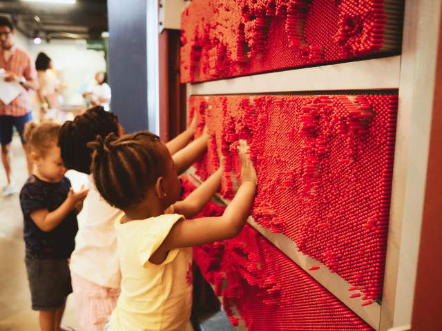 Discovery Place Kids