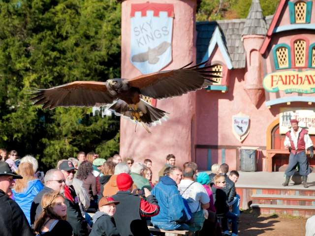 Carolina Renaissance Festival