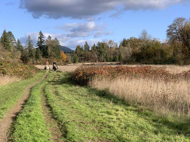 Elijah Bristow Park equine trail