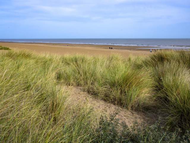 A beach landscape with grass in the foregrounds and sea in the background under blue skies