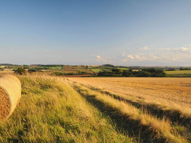 A landscape of fields in Lincolnshire with a hay bale in the foreground under blue skies