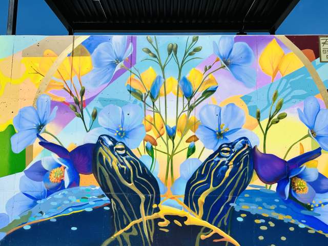 MURAL ラグマット Explore Longmont, Colorado Murals