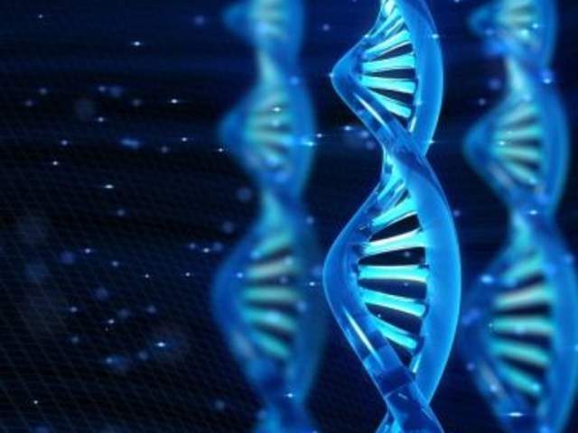 DNA Molecule