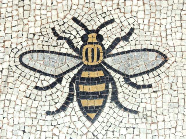 The Manchester Bee