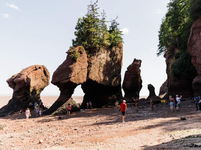 TOP 10 THINGS TO DO IN AND AROUND MONCTON-DIEPPE IN JUNE