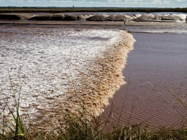 Tidal Bore in Moncton