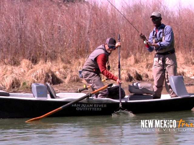Fishing & Fly Fishing In New Mexico
