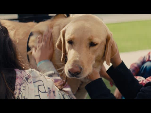Keep New Mexico True: Libby the recycling dog