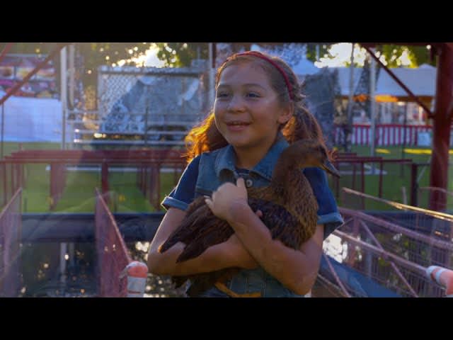 Deming Duck Race