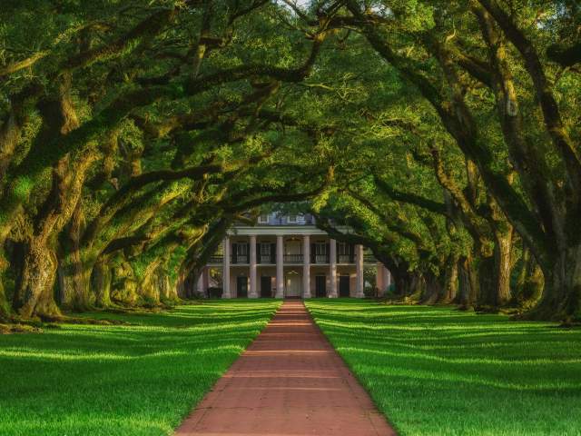 Oak Alley