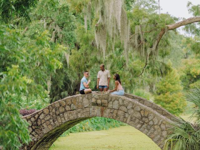 Friends Gather In City Park