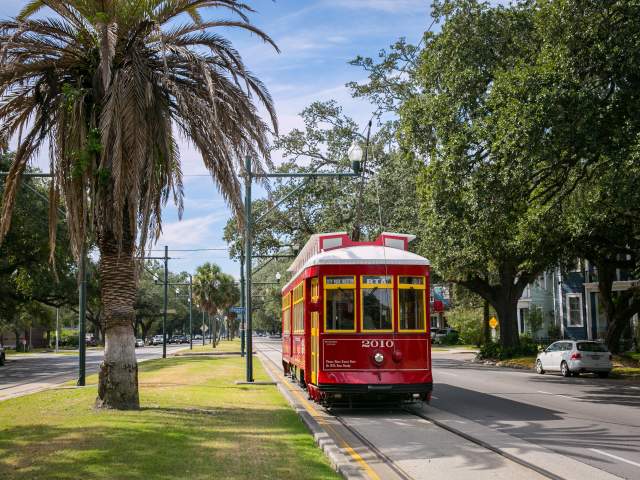 Carrollton Avenue Streetcar - Mid-City