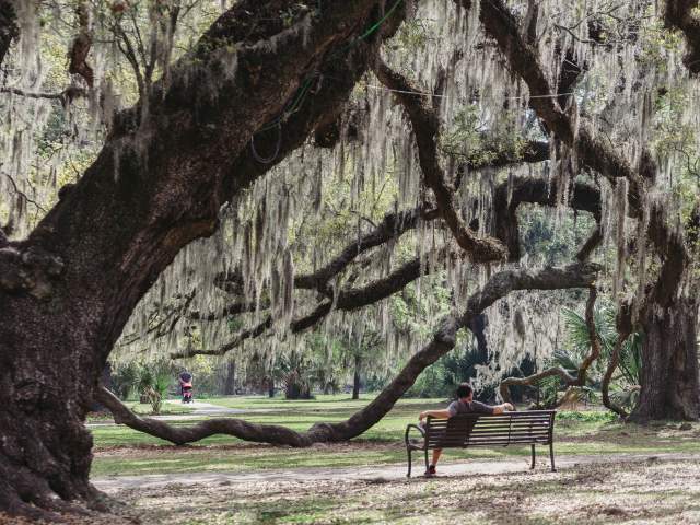 City Park