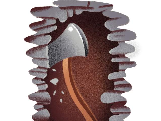 Graphic for The Woman in the Wall