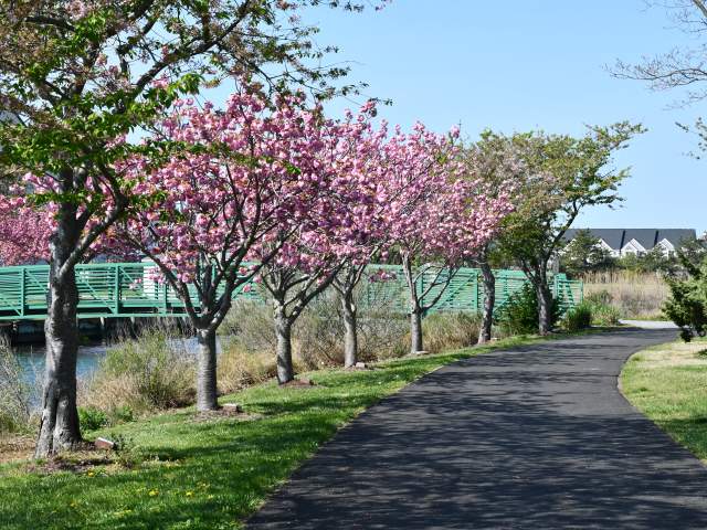 Northside Park