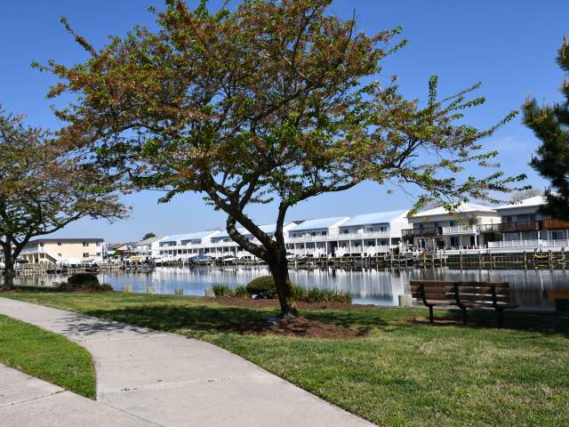 Jamestown Park