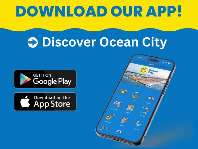 Download Discover Ocean City
