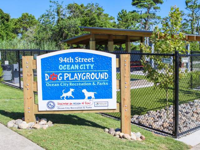 dog park