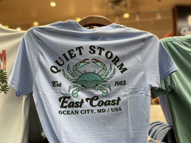 quiet storm t shirt surf shop