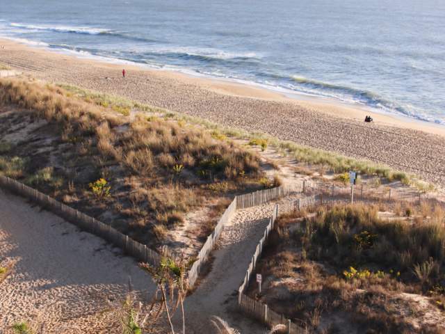 beach and dunes