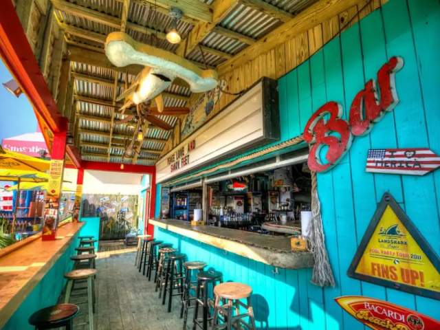 Hammerheads