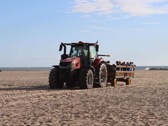 Sunfest Tractor Rides
