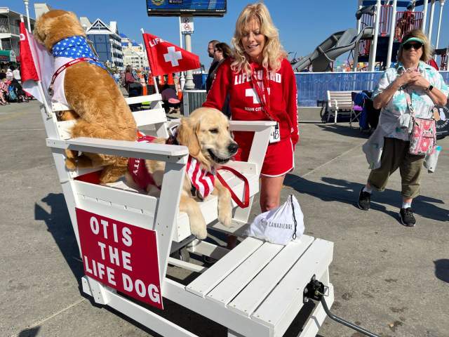 The Howl-O-Ween Pet Parade & Pageant at Sunfest