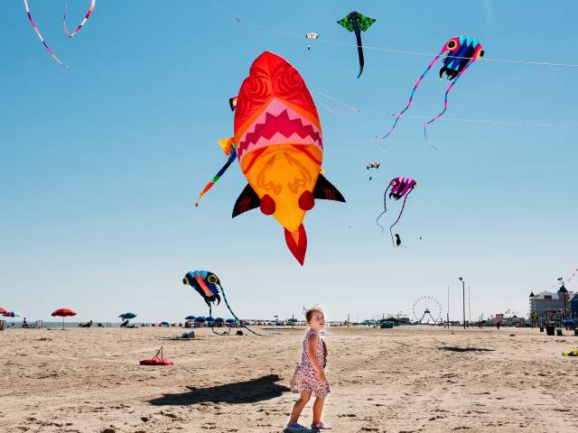 Boardwalk Kite