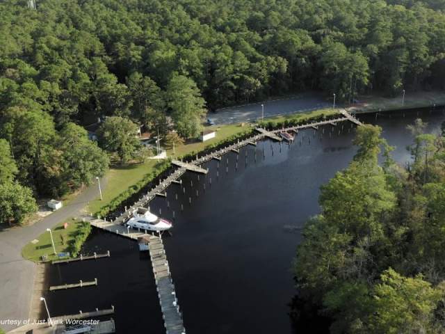 Shad Landing Pocomoke State Park